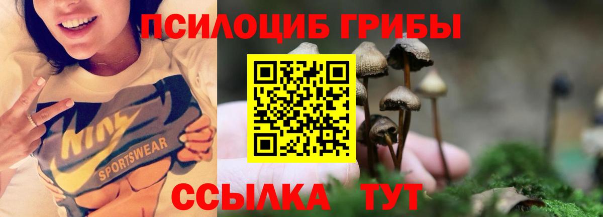 Галлюциногенные грибы мухоморы  Вход с VPN  Псилоцибиновые грибы Cubensis  Ялуторовск 